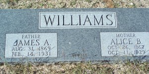 Williams, James A & Alice B Williams
